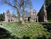 dryburgh abbey3