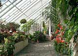 kailzie greenhouse